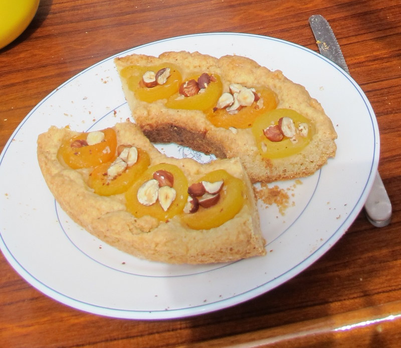 Obstkuchen im Backring